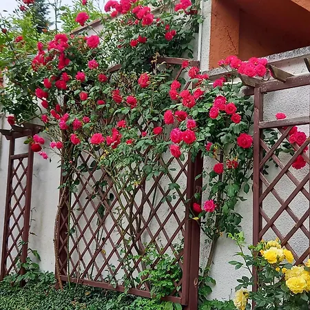 Apartmán 2-pokojowy 55 M2, Kolo Zoo, Hali Stulecia *